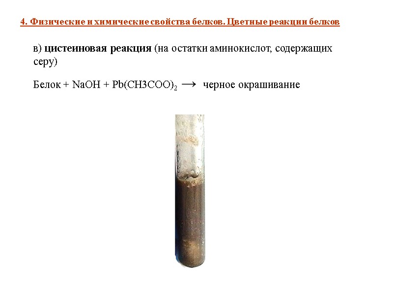 в) цистеиновая реакция (на остатки аминокислот, содержащих серу) Белок + NaOH + Pb(CH3COO)2 →